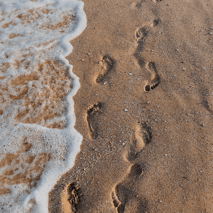 Footprints2